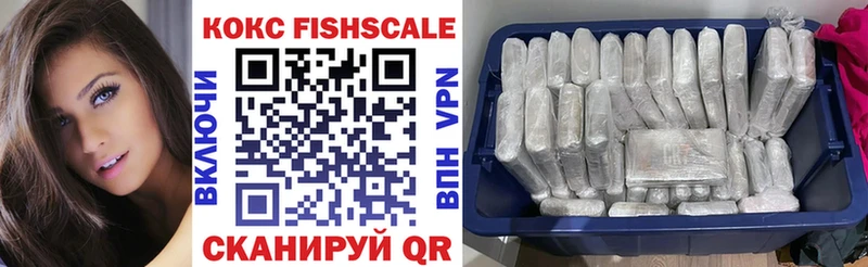 КОКАИН FishScale  Купить  Нарьян-Мар 