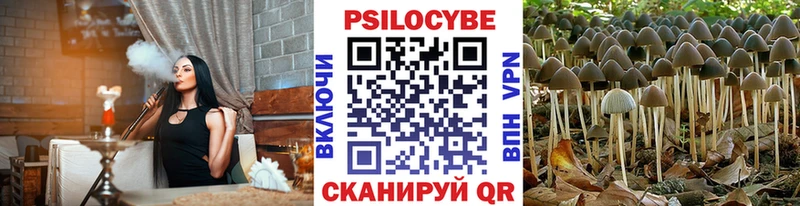 Псилоцибиновые грибы мицелий  Купить закладки  Нарьян-Мар 